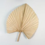 Palm Spear