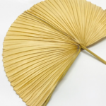 Palm Fan