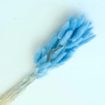 Bunny Tails