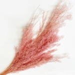 Fox Tail