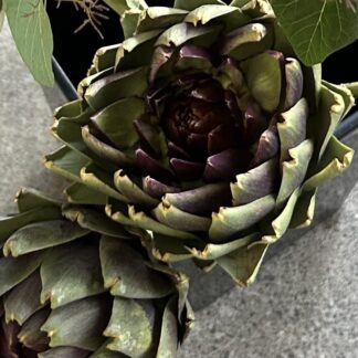 Artichoke