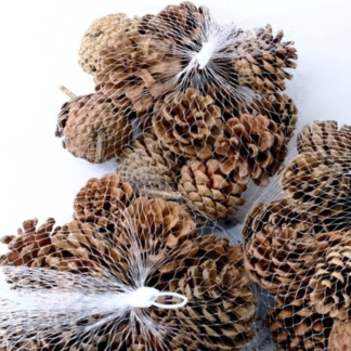Pine Cones